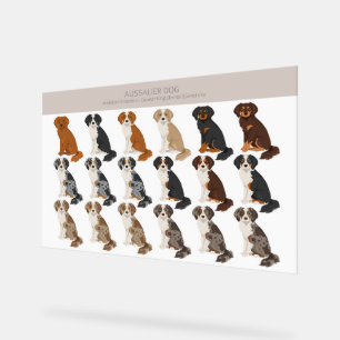 Aussalier dog mix acrylic sign