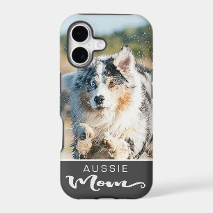 Aussie Australian Shepherd Mum Dog's Photo