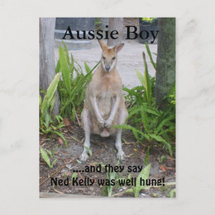 Aussie Boy, postcard