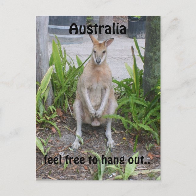 Aussie Boy, postcard (Front)