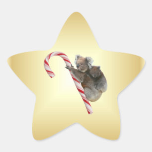 Aussie Christmas Koalas on Candy Cane Star Sticker