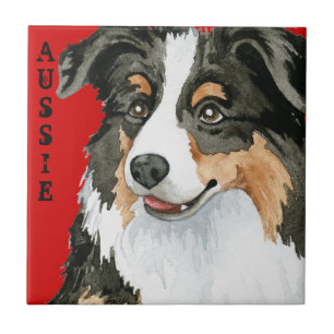 Aussie Colour Block Ceramic Tile