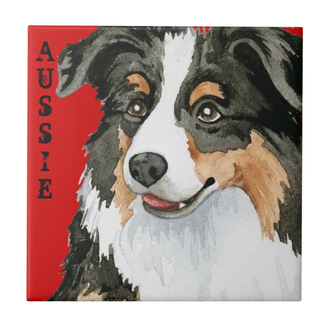 Aussie Colour Block Ceramic Tile (Front)