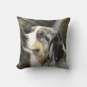 Aussie Cushion
