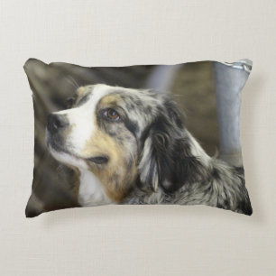 Aussie  decorative cushion