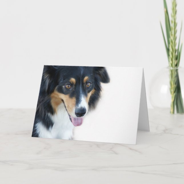 Aussie Dog Blank Card (Front)
