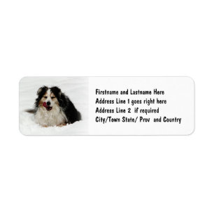 Aussie Dog Tongue Return Address Label