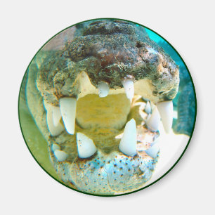 Aussie Icon - Big Croc Terry - Magnet