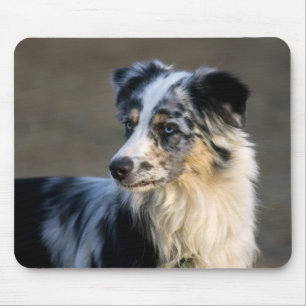Aussie Looking Left Mousepad