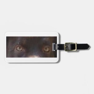 Aussie_Shepherd_Red tri eyes Luggage Tag