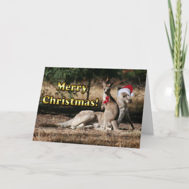 Aussie Style Christmas Kangaroos Holiday Card (Front)