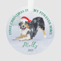 Aussie wearing Santa Hat 2023