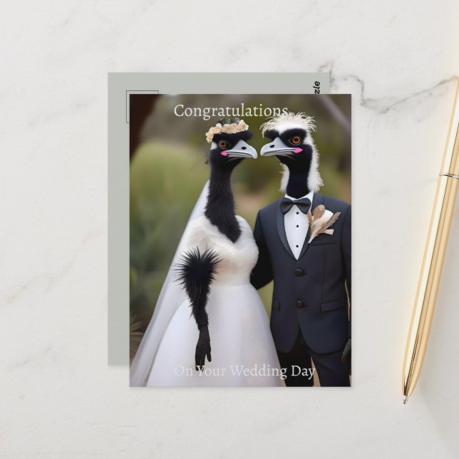 Aussie Wedding Australian Emus, Wedding Postcard (Front/Back In Situ)