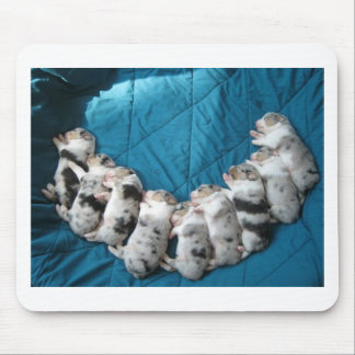 aussies make me smile mouse pad