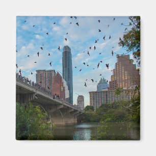 Austin BATS Downtown Magnet