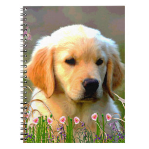 Austin Golden Labrador Puppy Notebook