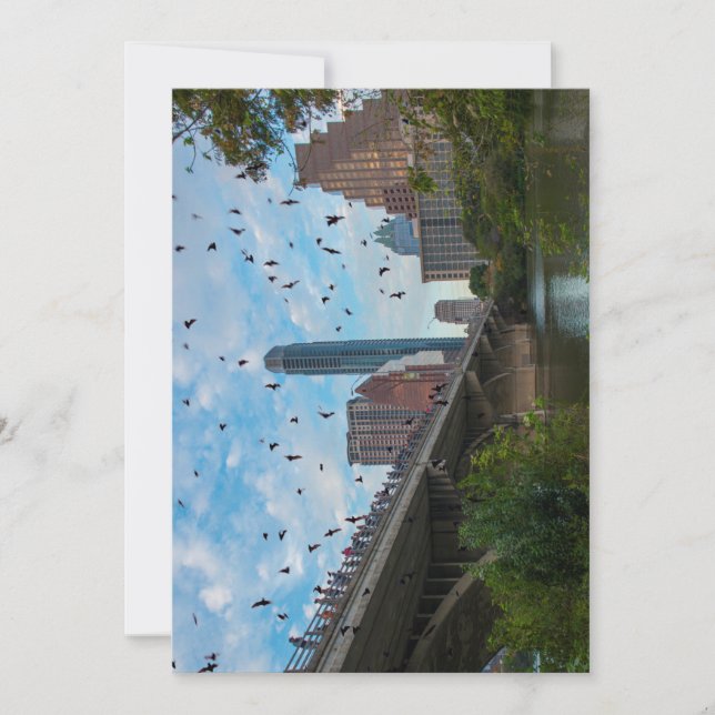 Austin Texas Bats Card (Front)