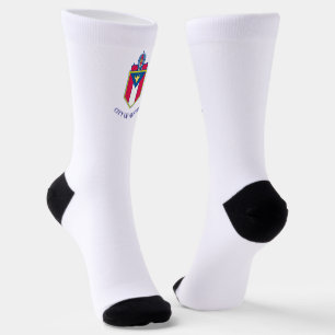 Austin (Texas) city flag Socks