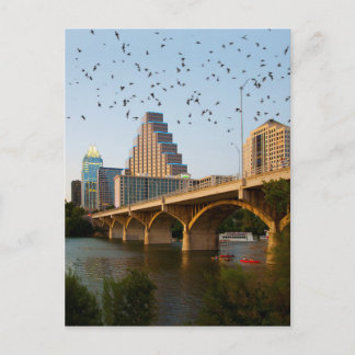 Austin, Texas Congress Bridge Bats Postcard