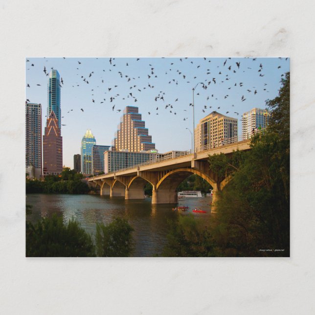 Austin, Texas with Bats Postcard (Front)
