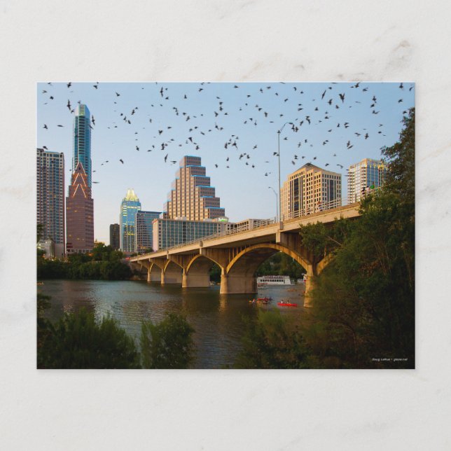 Austin, Texas with Bats Postcard (Front)