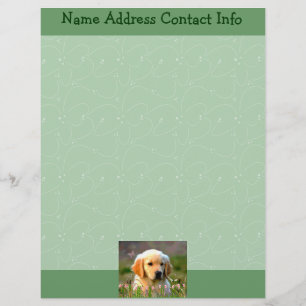 Austin The Golden Labrador Customized Letterhead