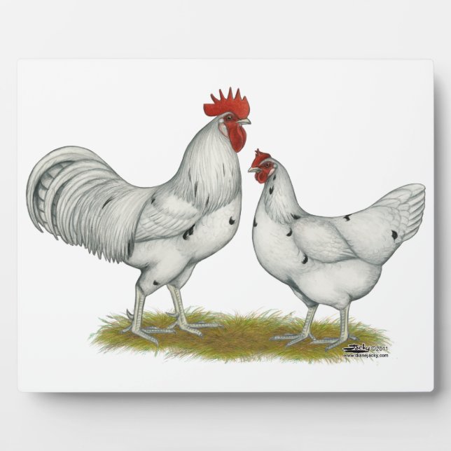 Austra White Chickens Plaque (Front)