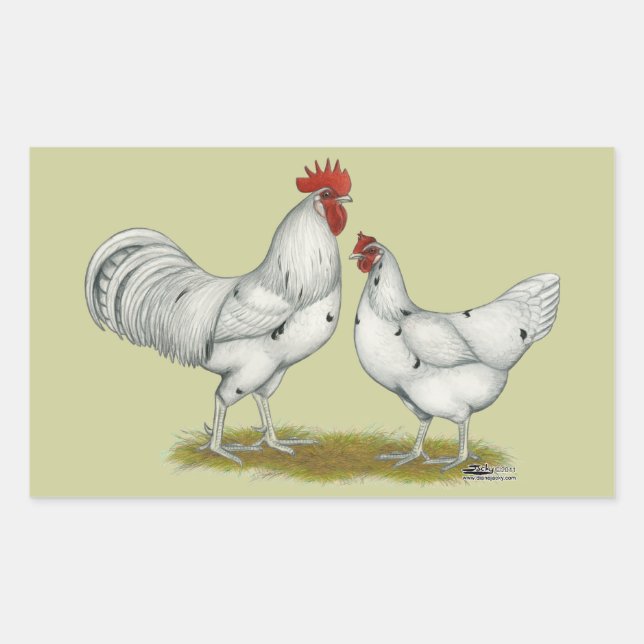 Austra White Chickens Rectangular Sticker (Front)