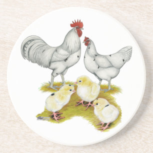 Austra White Family Coaster