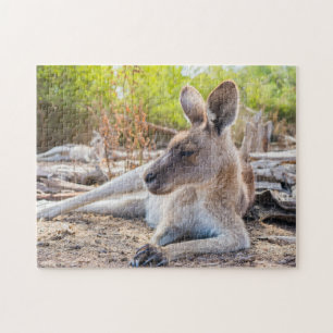 Austrailian Kangaroo Resting Jigsaw Puzzle