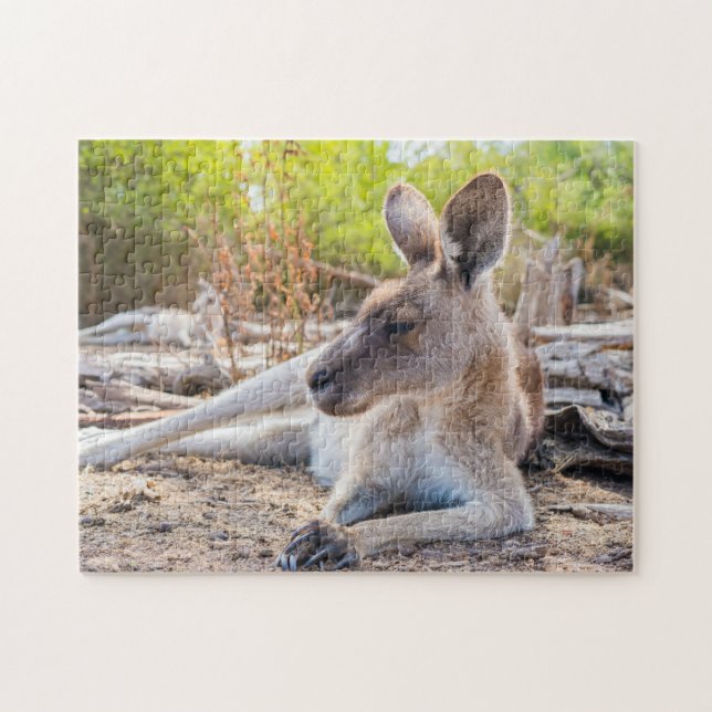 Austrailian Kangaroo Resting Jigsaw Puzzle (Horizontal)