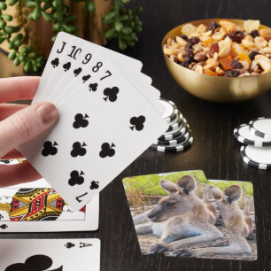 Austrailian Kangaroo Resting Playing Cards