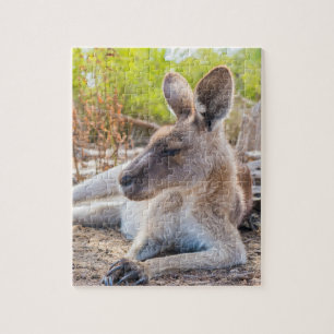 Austrailian KangarooLaying Down Resting Jigsaw Puzzle