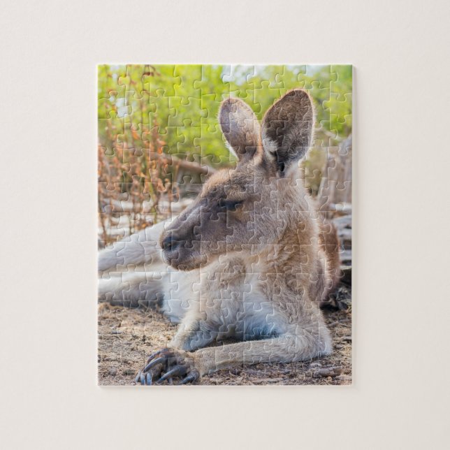 Austrailian KangarooLaying Down Resting Jigsaw Puzzle (Vertical)