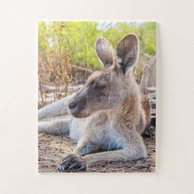Austrailian KangarooLaying Down Resting Jigsaw Puzzle (Vertical)