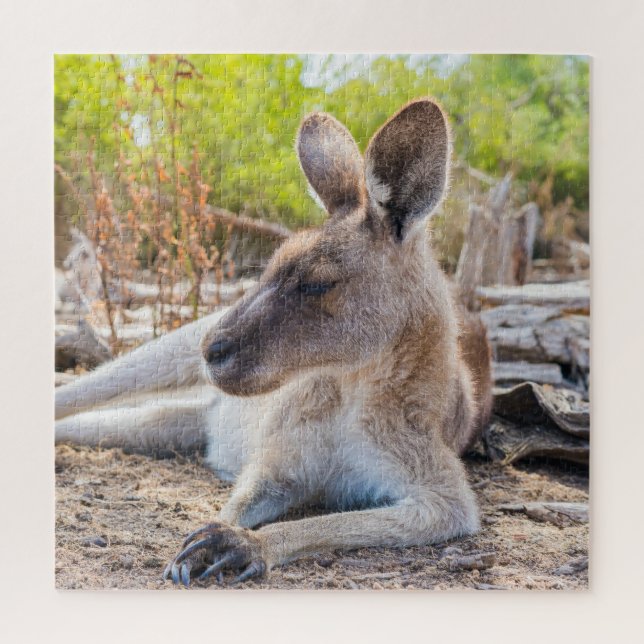 Austrailian KangarooLaying Down Resting Jigsaw Puzzle (Vertical)