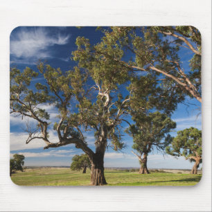 Australia, Barossa Valley, Mount Pleasant Mouse Pad