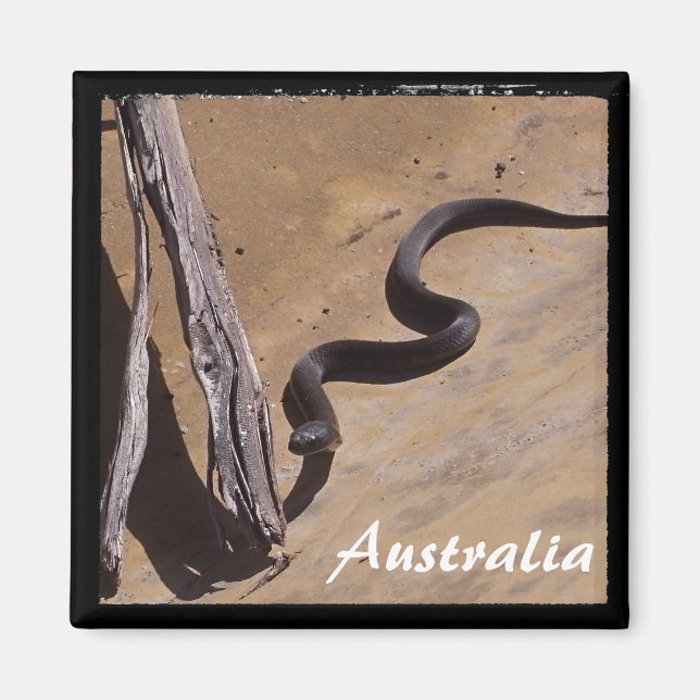 Australia - Brown Snake, Wilderness (Magnet) Magnet (Front)