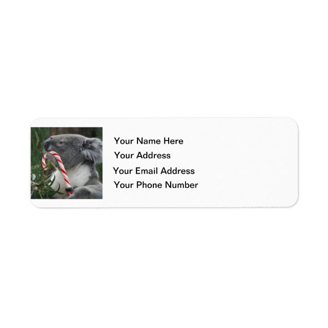 Australia Christmas Koala Bear Return Address Label (Front)