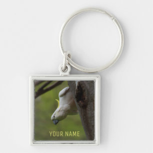 Australia Cockatoo Parrot Bird Upside Down Funny Key Ring