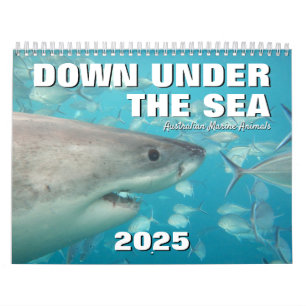 Australia Down Under the Sea 2025 Calendar
