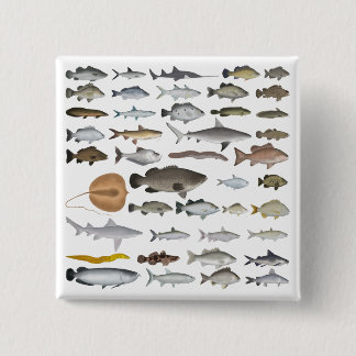 Australia Freshwater Fish Group 15 Cm Square Badge