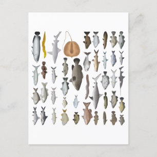 Australia Freshwater Fish Group Postcard