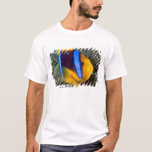 Australia, Great Barrier Reef, Anemonefish T-Shirt