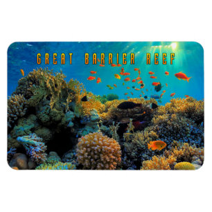 Australia Great Barrier Reef stylised Magnet