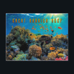 Australia Great Barrier Reef stylised Postcard<br><div class="desc">The Great Barrier Reef,  off the coast of Queensland in northeastern Australia,  is the largest living thing on Earth,  and even visible from outer space.</div>