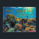 Australia Great Barrier Reef stylised Postcard<br><div class="desc">The Great Barrier Reef,  off the coast of Queensland in northeastern Australia,  is the largest living thing on Earth,  and even visible from outer space.</div>
