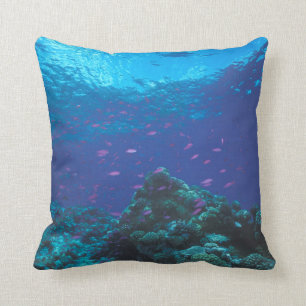 Australia, Great Barrier Reef. Swarming Purple Cushion
