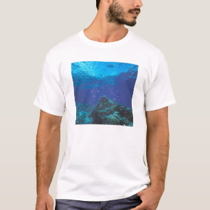Australia, Great Barrier Reef. Swarming Purple T-Shirt