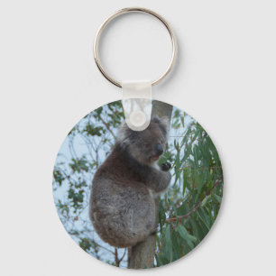 Australia Kangaroo Island Koala in a Tree Key Ring